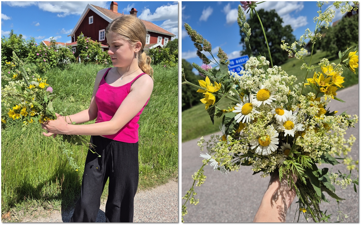 Handplockad sommarbukett med prästkragar och ängsblommor på väg till By kyrkogård.